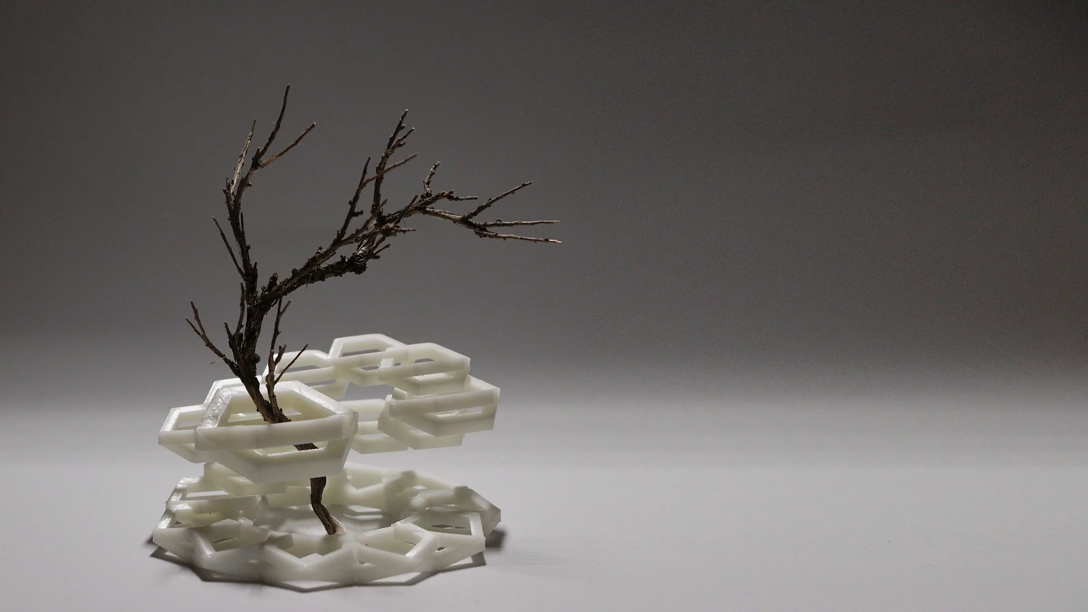 sculpture